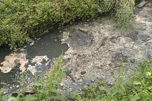 省级生态环保督察进行时丨成都市新都区、双流区黑臭水体治理不彻底 问题依然突出
