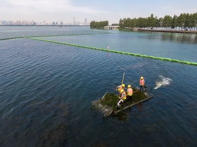 聚焦太湖流域蓝藻治理